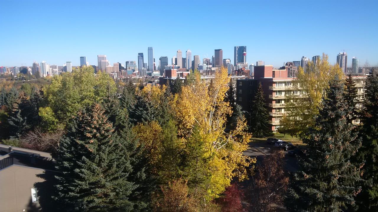 Roof view on downtown